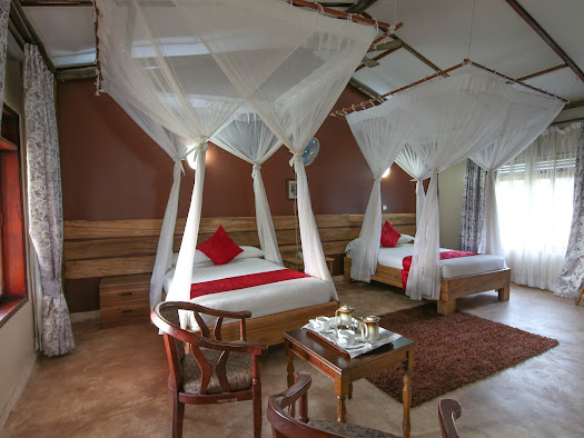 Pakuba safari Lodge