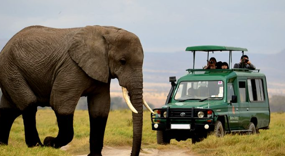 Game Drive Uganda