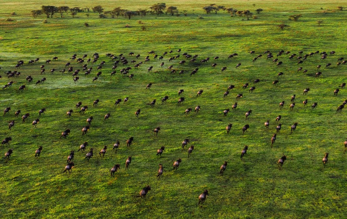 Serengeti National Park