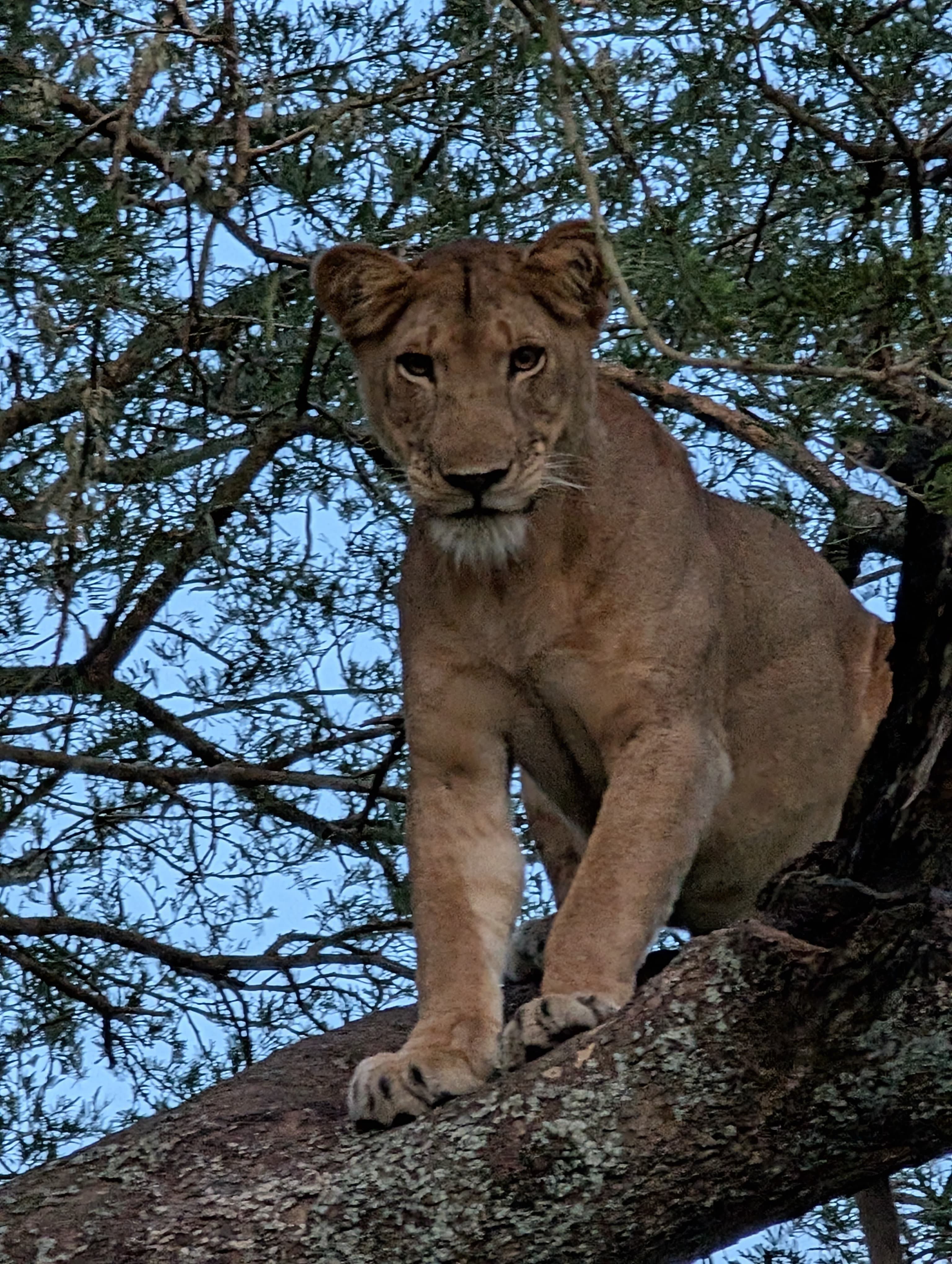Queen Elizabeth National Park