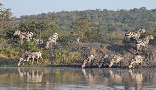 Lake Mburo National  Park